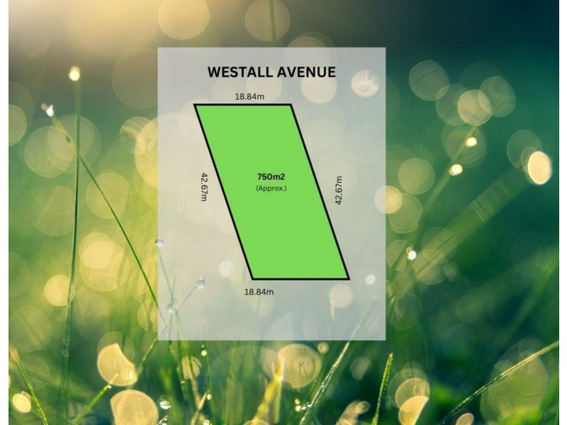 22 Westall Avenue, Flinders Park SA 5025