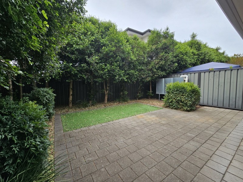 2C Alison Avenue, Marion SA 5043