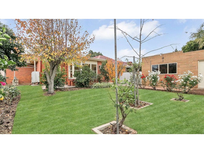 25 Shirley Avenue, Woodville West SA 5011