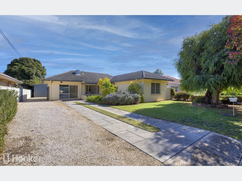 20 White Avenue, Lockleys SA 5032