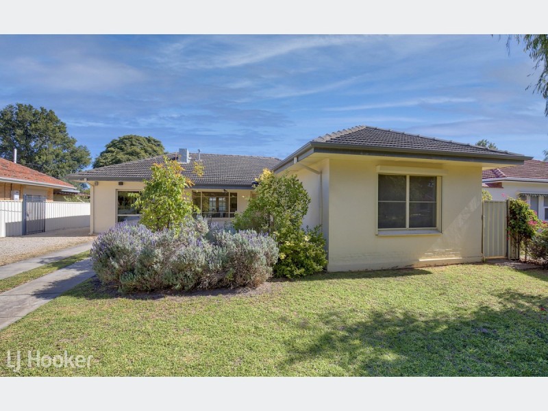 20 White Avenue, Lockleys SA 5032