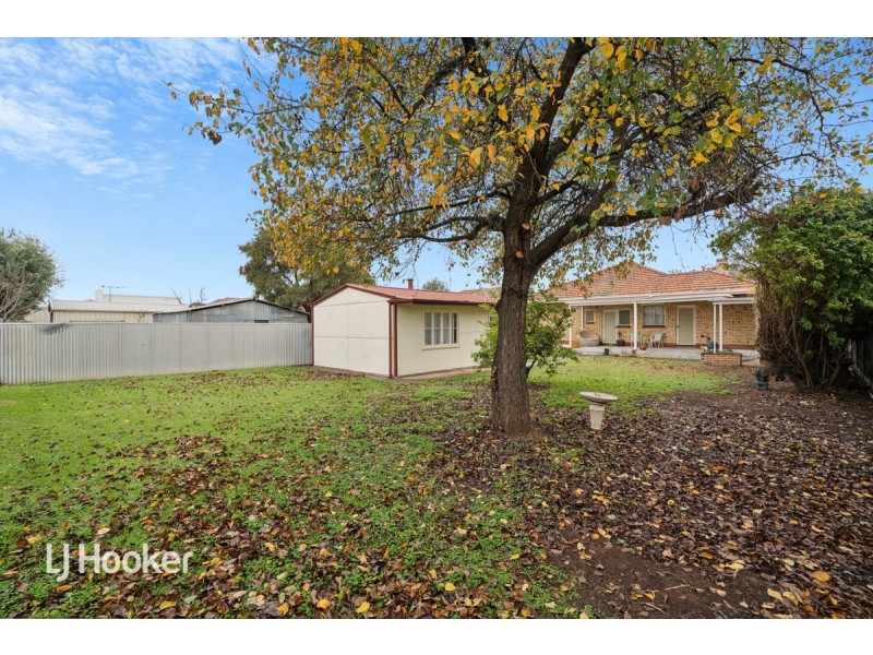 36 Autumn Avenue, Lockleys SA 5032
