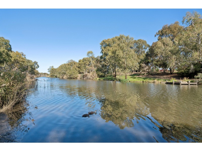 11 Durham Avenue, Lockleys SA 5032