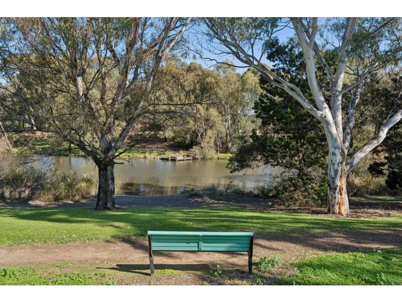11 Durham Avenue, Lockleys SA 5032