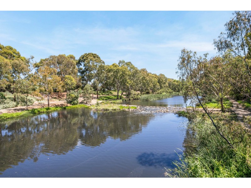 11 Durham Avenue, Lockleys SA 5032