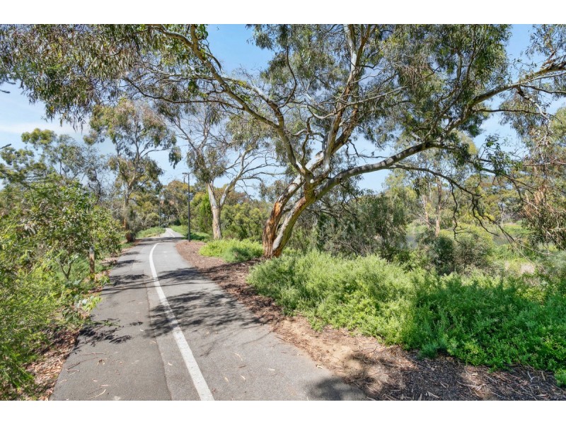 11 Durham Avenue, Lockleys SA 5032
