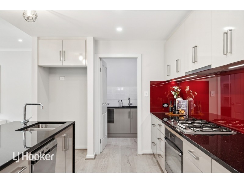 34 Lorraine Avenue, Lockleys SA 5032