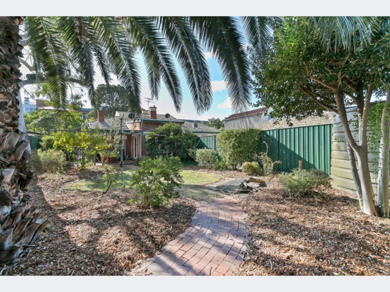 3 Syme Street, Ashford SA 5035