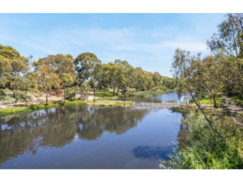 4/1 Autumn Avenue, Lockleys SA 5032