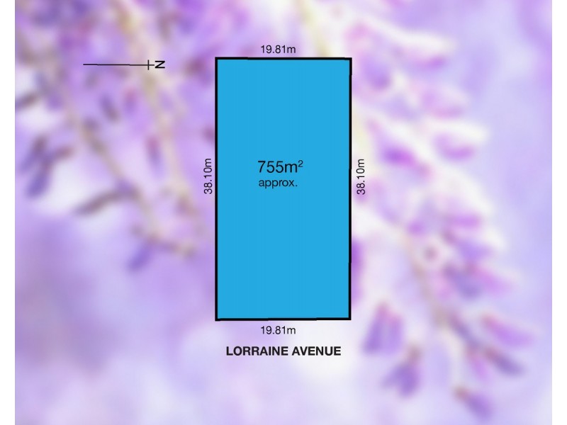 42 Lorraine Avenue, Lockleys SA 5032