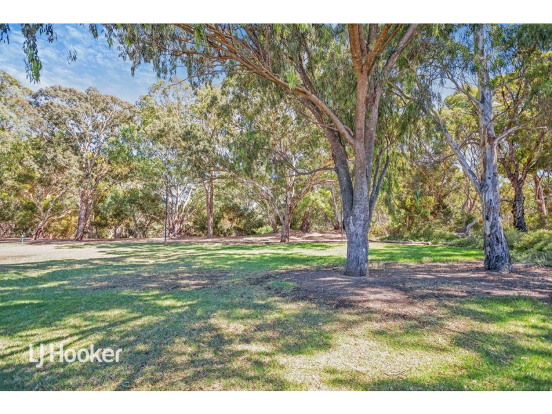 42 Lorraine Avenue, Lockleys SA 5032