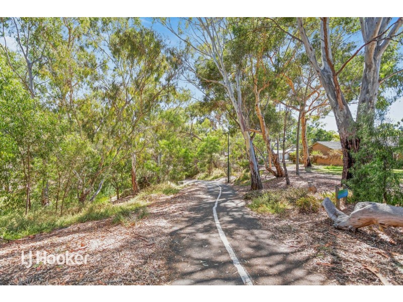 42 Lorraine Avenue, Lockleys SA 5032