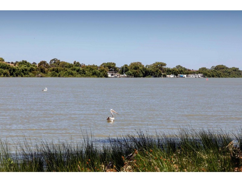 22 Nori Court, Murray Bridge SA 5253