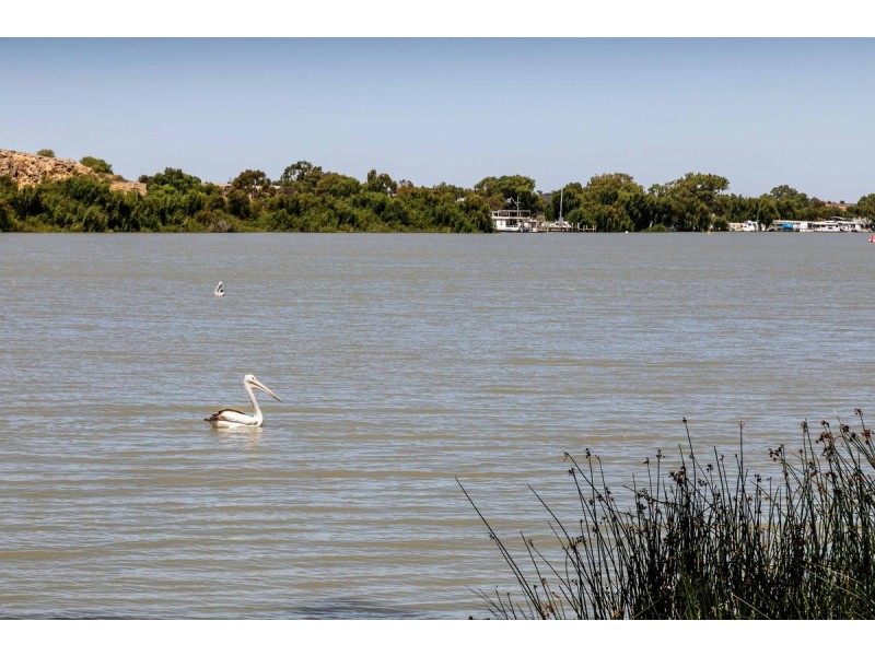 22 Nori Court, Murray Bridge SA 5253