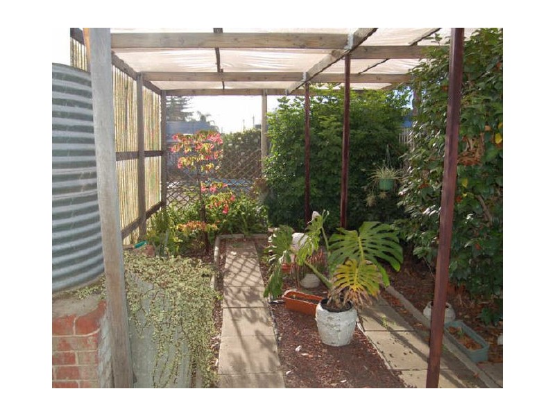 43 Clifford St, Torrensville SA 5031