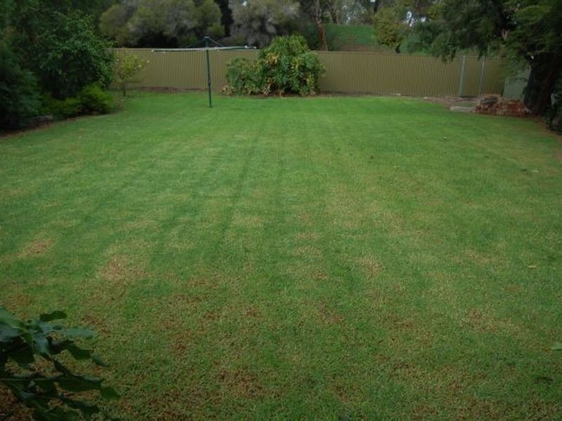 57 Halsey Road, Fulham SA 5024