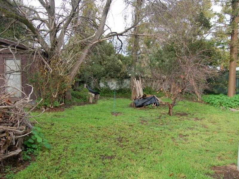 5 Kitchener Street, Netherby SA 5062