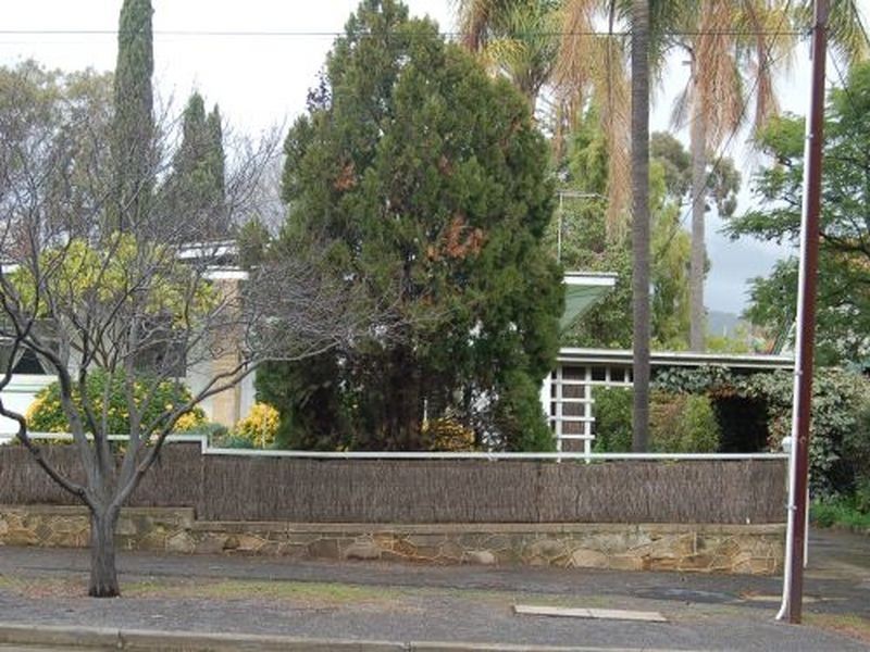 5 Kitchener Street, Netherby SA 5062