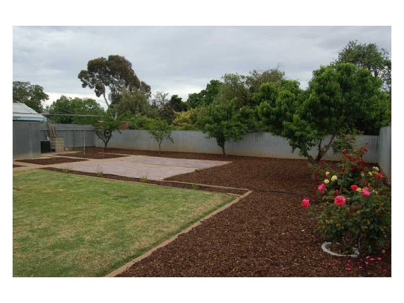 41 Castle Street, Edwardstown SA 5039