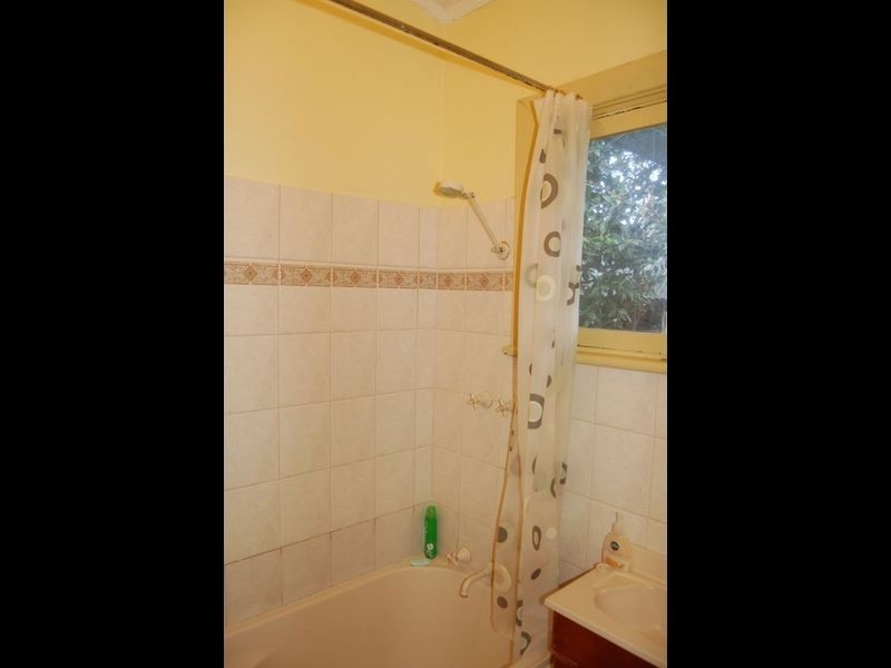 13 Elizabeth Avenue, Plympton SA 5038