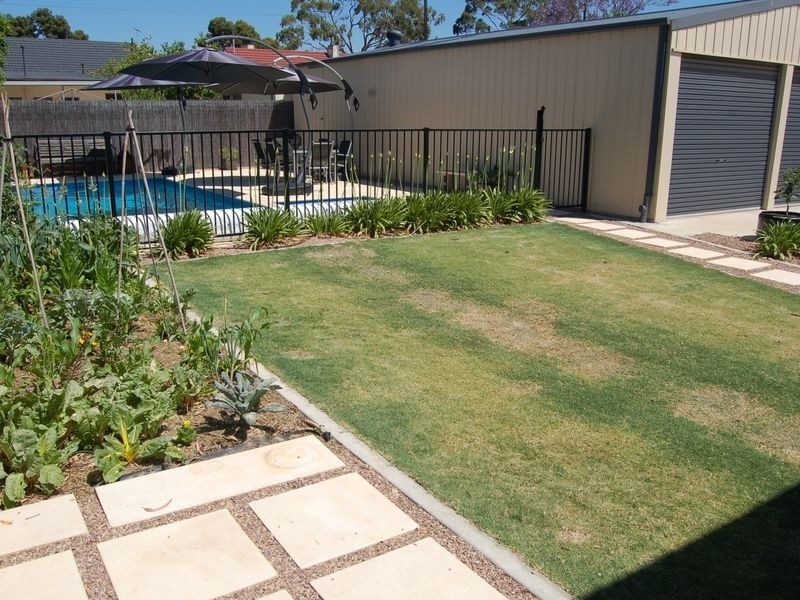 16 Chapman Street, Torrensville SA 5031