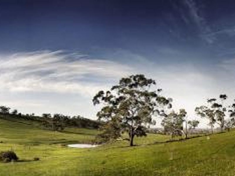 19 Delphi Avenue, South Morang VIC 3752