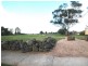 103 Gardenia Road, Lalor VIC 3075