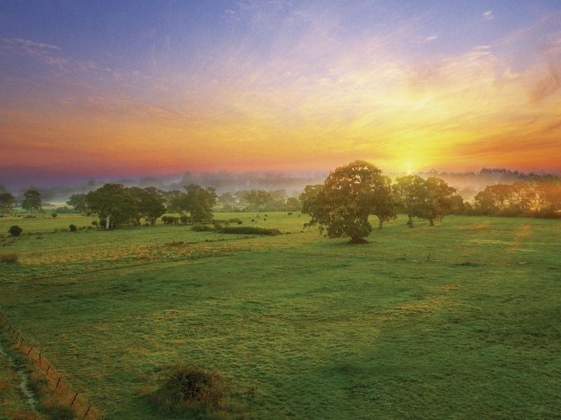 Lot 263 Cootamundra Road, Doreen VIC 3754