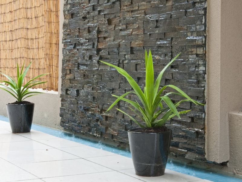 3/1 Lewis Street, Glenelg North SA 5045