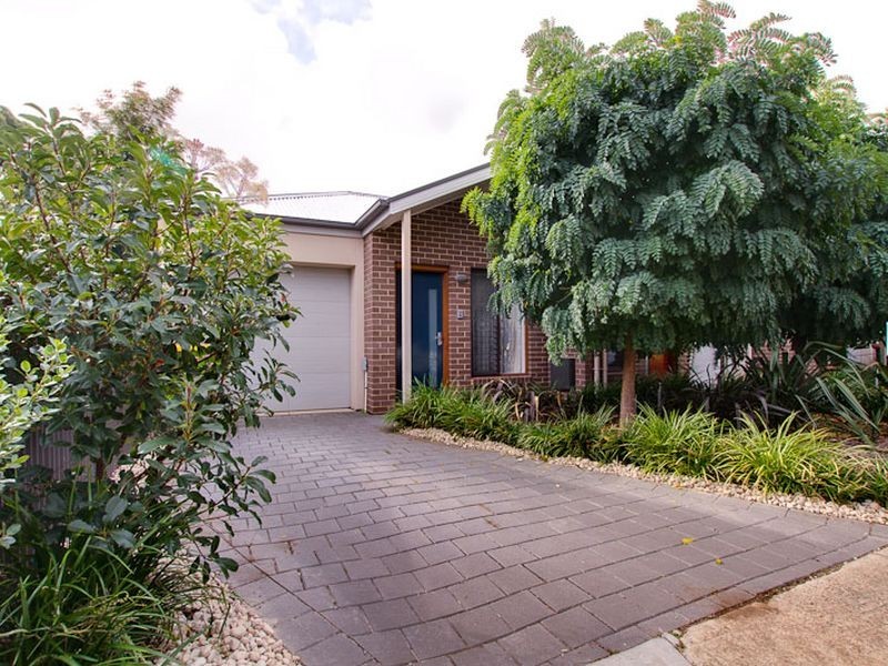 5 Carlisle Avenue, Morphettville SA 5043