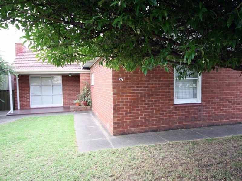 75 Castle Street, South Plympton SA 5038