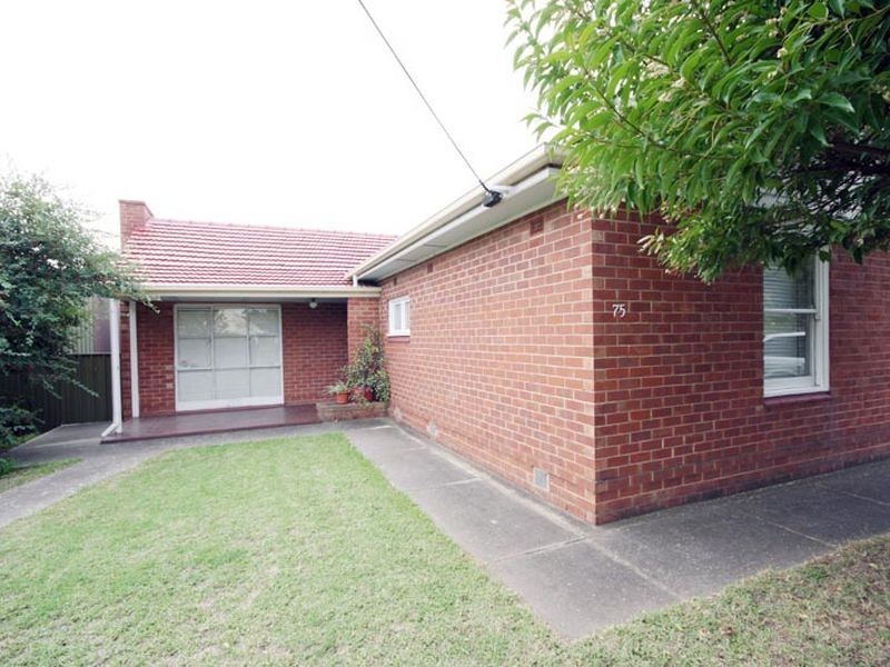 75 Castle Street, South Plympton SA 5038