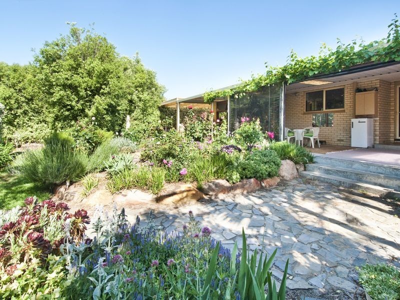 6 Mott Terrace, Seacliff Park SA 5049
