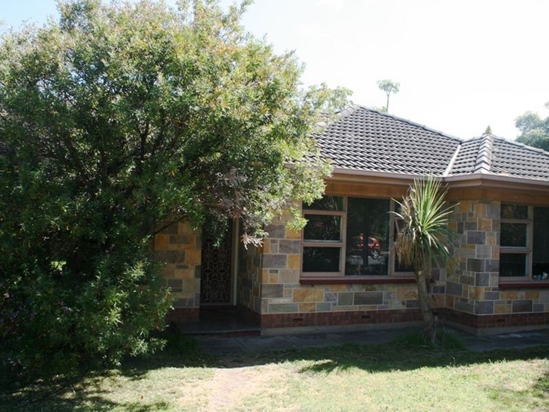 54 Bowker Street, Somerton Park SA 5044