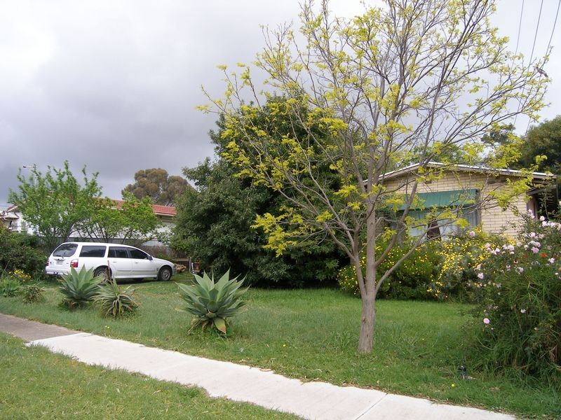 16 Day Street, Sturt SA 5047
