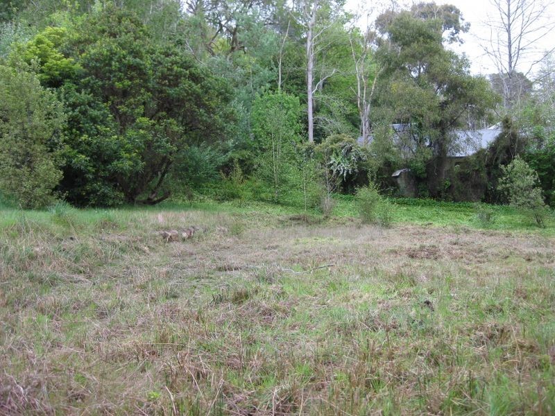 94 Mount Barker Road, Stirling SA 5152