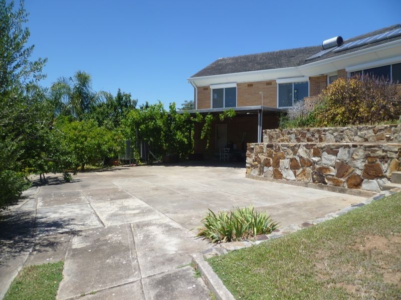 12 Hill Street, Seacliff Park SA 5049