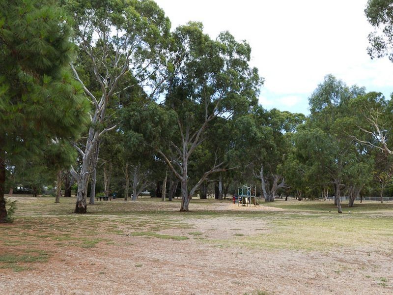 41 Parsons Street, Marion SA 5043