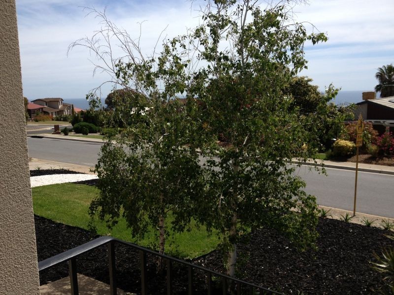 4 Morialta Steet, Hallett Cove SA 5158