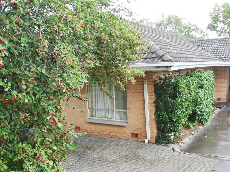 18 Hill Street, Seacliff Park SA 5049