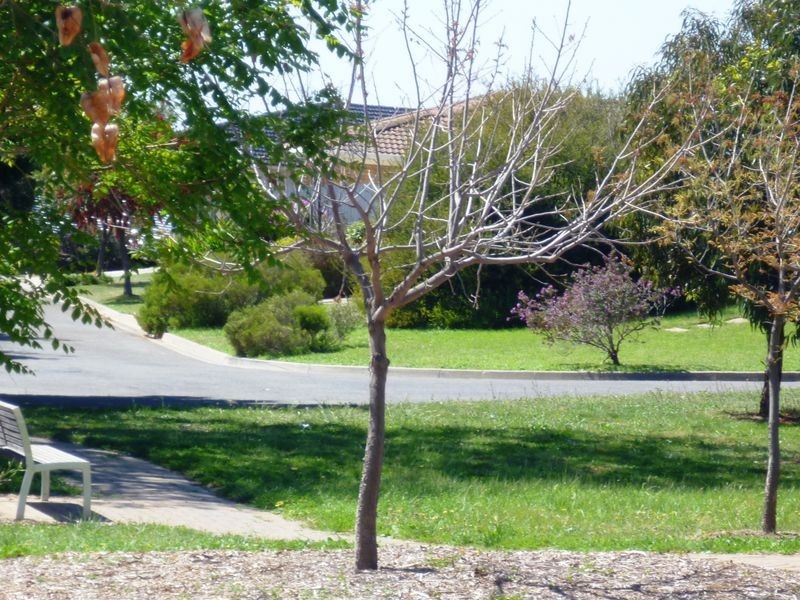 20 Stella Street, Darlington SA 5047