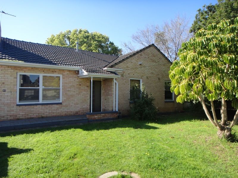 41 Dwyer Road, Oaklands Park SA 5046
