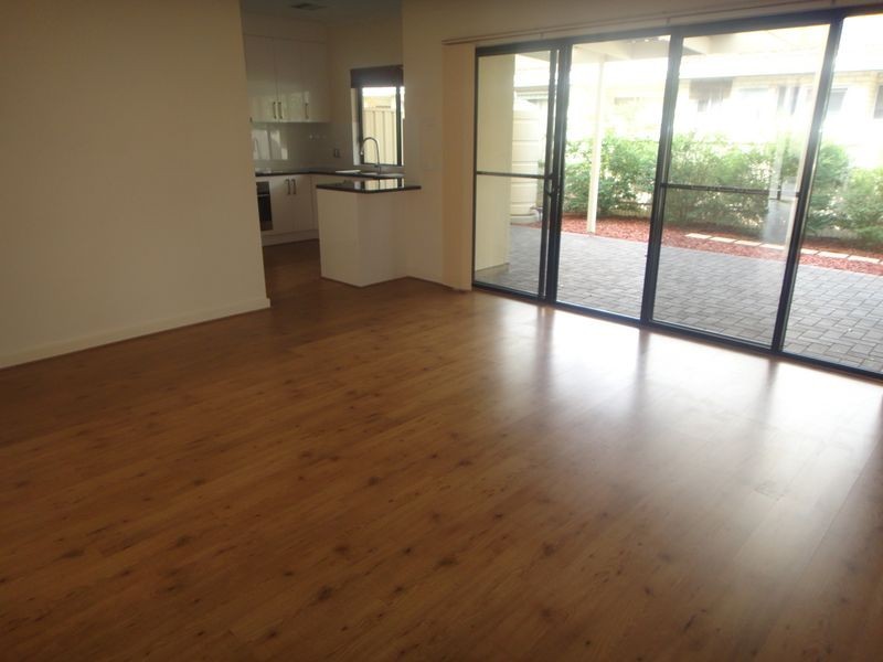 12B Clayton Ave, Plympton SA 5038