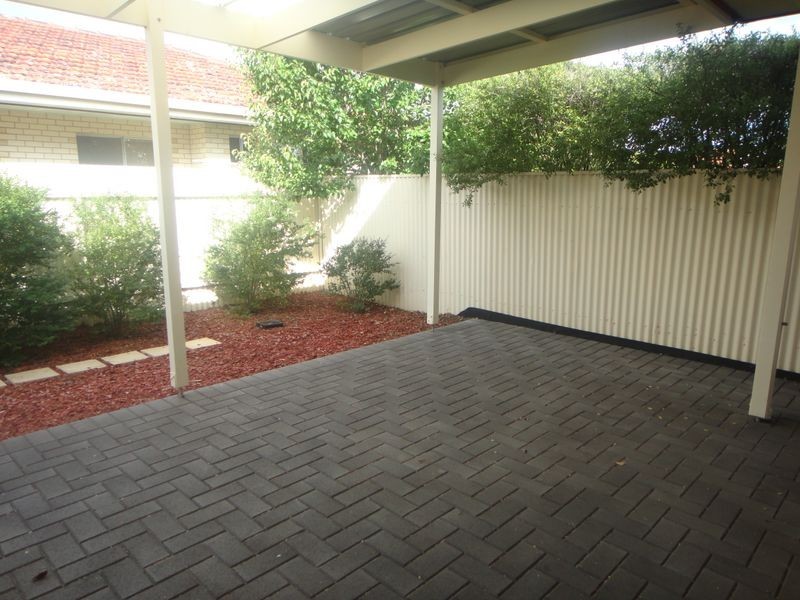 12B Clayton Ave, Plympton SA 5038