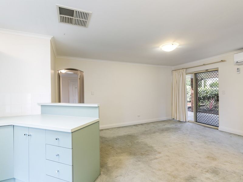 8A Parsons Grove, Park Holme SA 5043