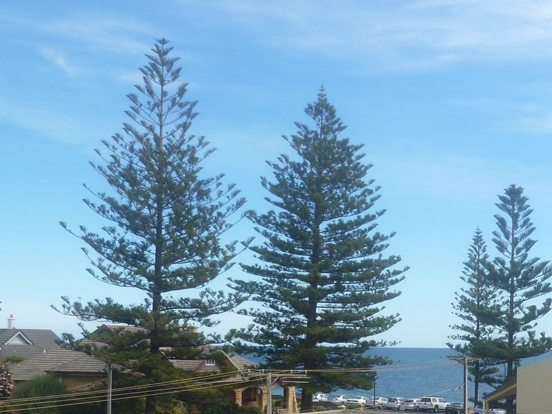 9/3 Broadway, Glenelg South SA 5045