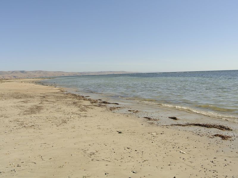 13 Aldam Avenue, Aldinga Beach SA 5173