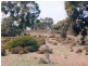 1 Pahl’s Road – CFA 166, Edenhope VIC 3318