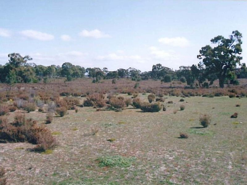 1 Pahl’s Road – CFA 166, Edenhope VIC 3318