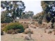 1 Pahl’s Road – CFA 166, Edenhope VIC 3318
